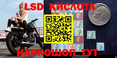 сатива Аргун
