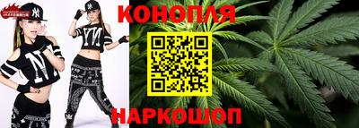 сатива Аргун