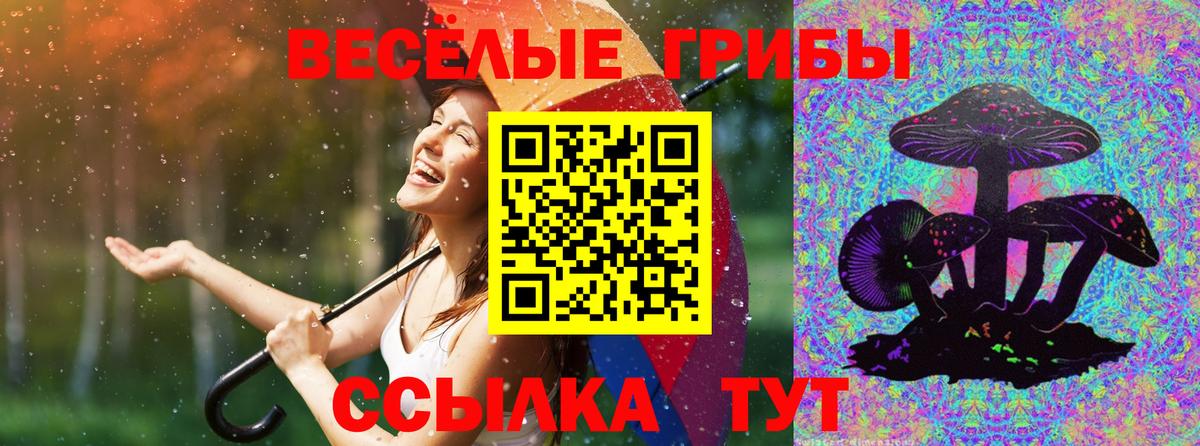 Галлюциногенные грибы мухоморы  где купить   Берёзовский 